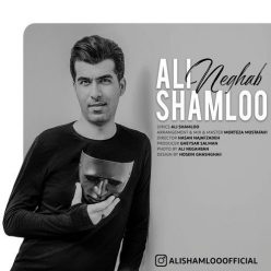 دانلود آهنگ علی شاملو نقاب